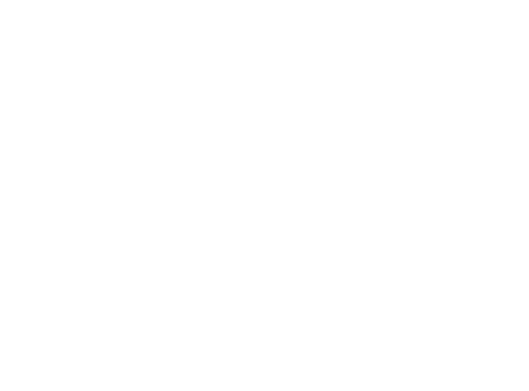 Run Whisperers Cricket Academy logo